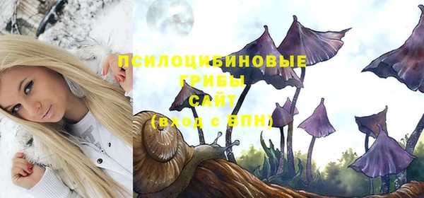 ГАЛЛЮЦИНОГЕННЫЕ ГРИБЫ Абдулино