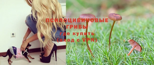 ГАЛЛЮЦИНОГЕННЫЕ ГРИБЫ Абдулино