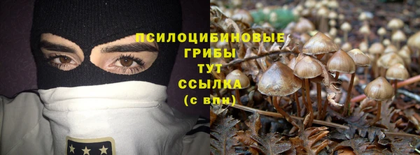 COCAINE Абаза